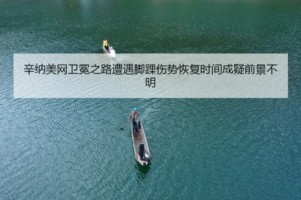 xin-na-mei-wang-wei-mian-zhi-lu-zao-yu-jiao-huai-shang-shi-hui-fu-shi-jian-cheng-yi-qian-jing-bu-ming-2-349.jpg